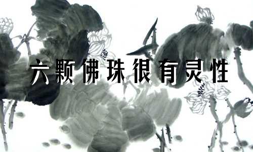 六颗佛珠很有灵性