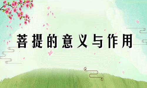 菩提的意义与作用