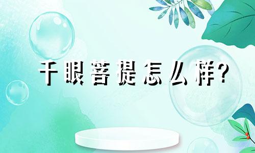 千眼菩提怎么样?