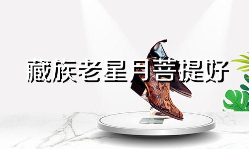 藏族老星月菩提好