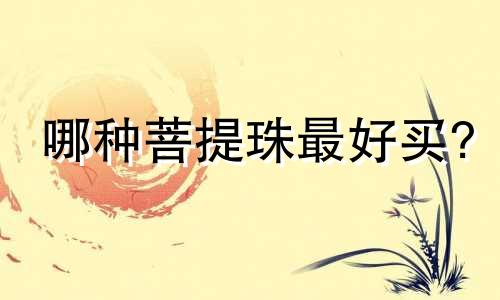 哪种菩提珠最好买?