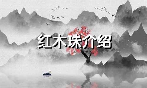 红木珠介绍