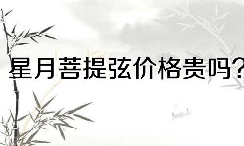 星月菩提弦价格贵吗?