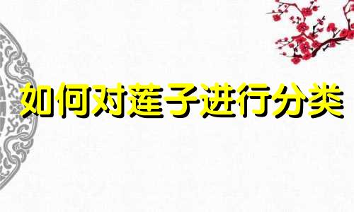 如何对莲子进行分类