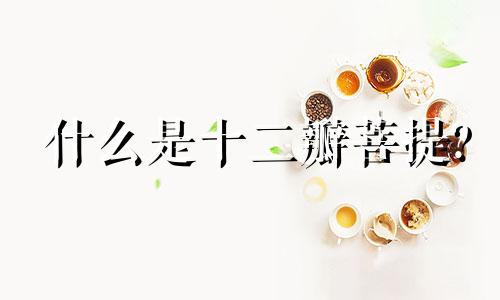 什么是十二瓣菩提?