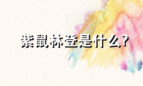 紫鼠林登是什么?