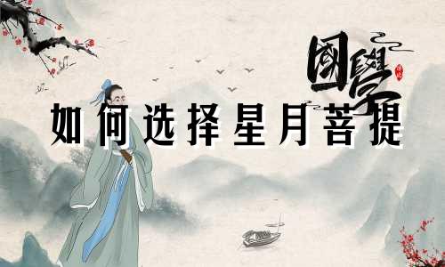如何选择星月菩提