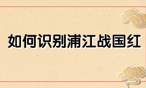 如何识别浦江战国红
