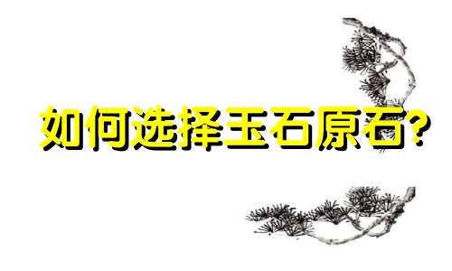 如何选择玉石原石?