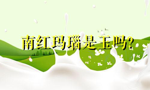 南红玛瑙是玉吗?