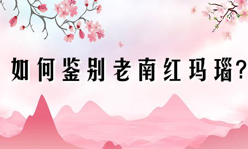 如何鉴别老南红玛瑙?