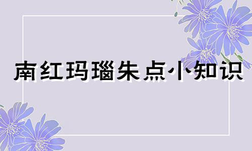 南红玛瑙朱点小知识