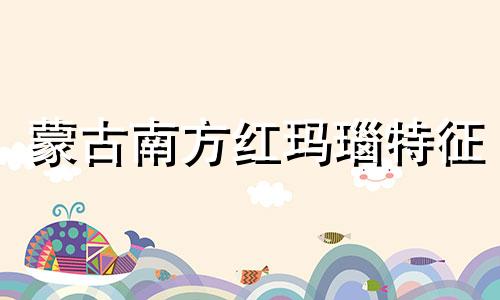 蒙古南方红玛瑙特征