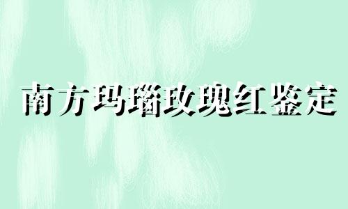 南方玛瑙玫瑰红鉴定