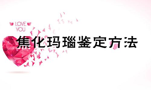 焦化玛瑙鉴定方法