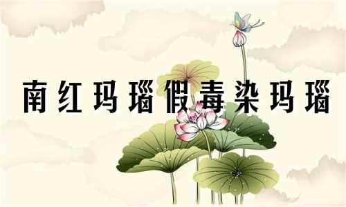 南红玛瑙假毒染玛瑙