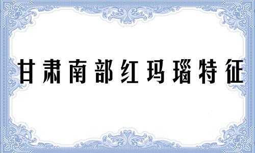 甘肃南部红玛瑙特征