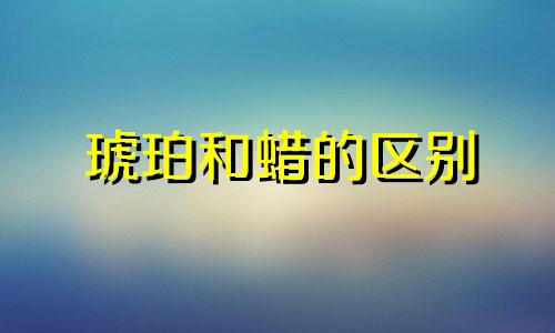 琥珀和蜡的区别