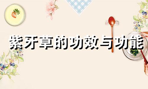 紫牙草的功效与功能