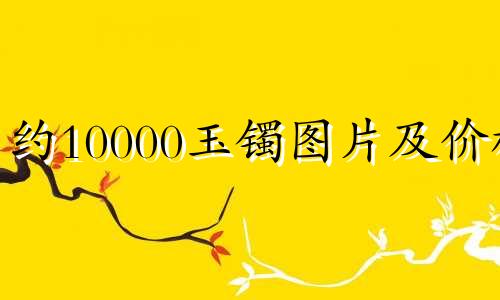 约10000玉镯图片及价格