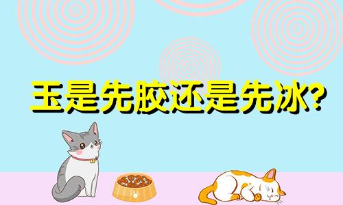 玉是先胶还是先冰?
