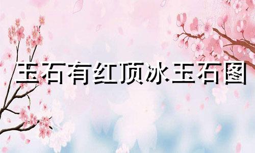 玉石有红顶冰玉石图