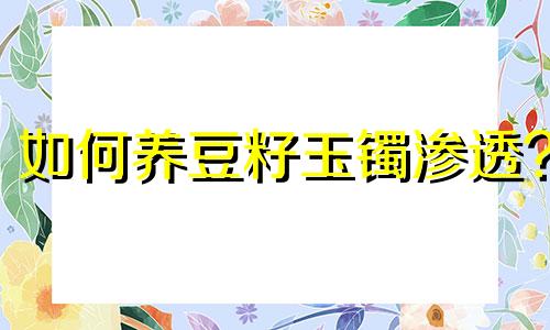 如何养豆籽玉镯渗透?