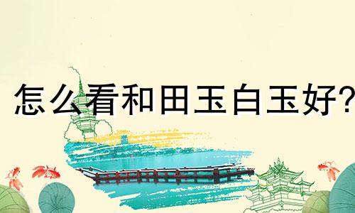 怎么看和田玉白玉好?