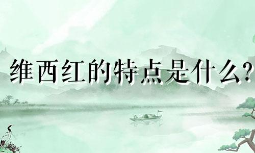 维西红的特点是什么?
