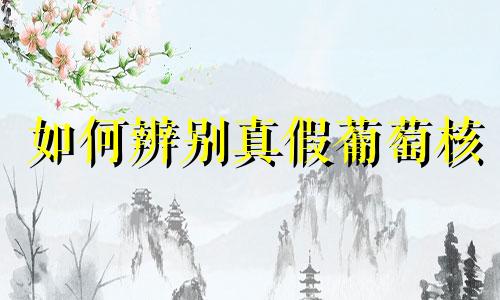 如何辨别真假葡萄核