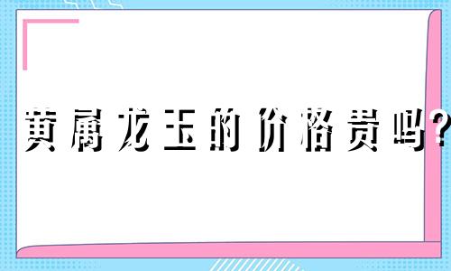 黄属龙玉的价格贵吗?