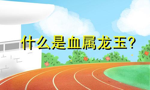 什么是血属龙玉?