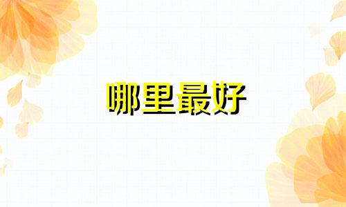 哪里最好