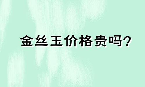 金丝玉价格贵吗?