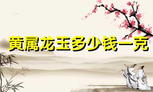 黄属龙玉多少钱一克