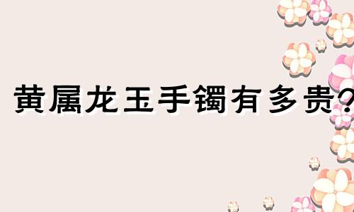 黄属龙玉手镯有多贵?