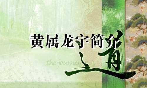 黄属龙宇简介
