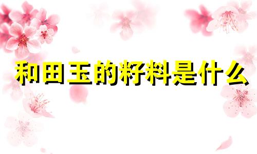 和田玉的籽料是什么