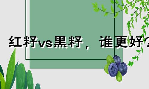 红籽vs黑籽，谁更好?