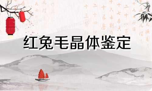 红兔毛晶体鉴定