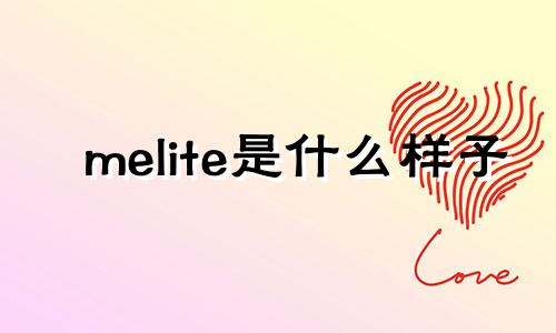 melite是什么样子