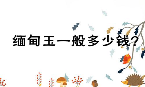 缅甸玉一般多少钱?