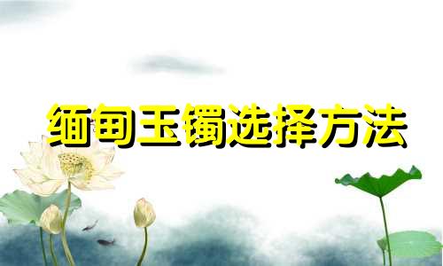 缅甸玉镯选择方法