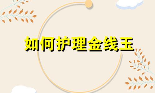 如何护理金线玉