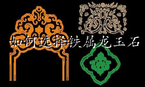 如何选择铁属龙玉石
