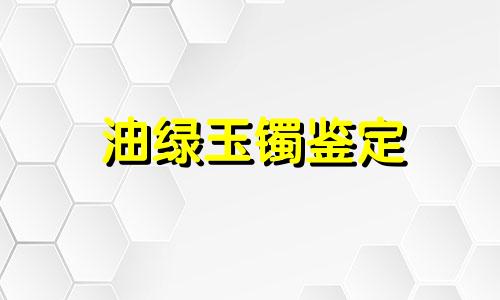 油绿玉镯鉴定