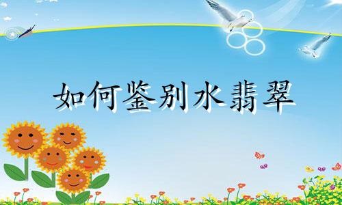 如何鉴别水翡翠