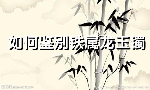 如何鉴别铁属龙玉镯