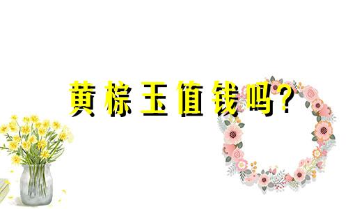 黄棕玉值钱吗?