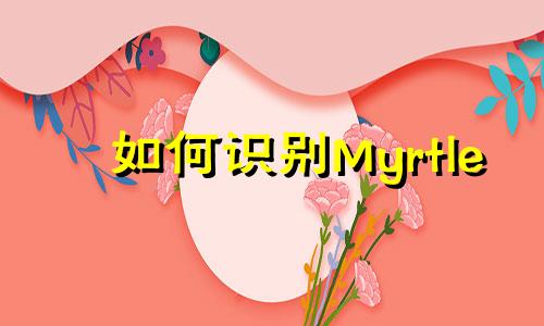 如何识别Myrtle
